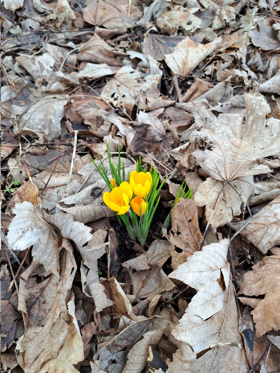Emmbees1's tweet photo. Beauty can be found everywhere.   Today at work: https://t.co/EFrFK9wNxA
