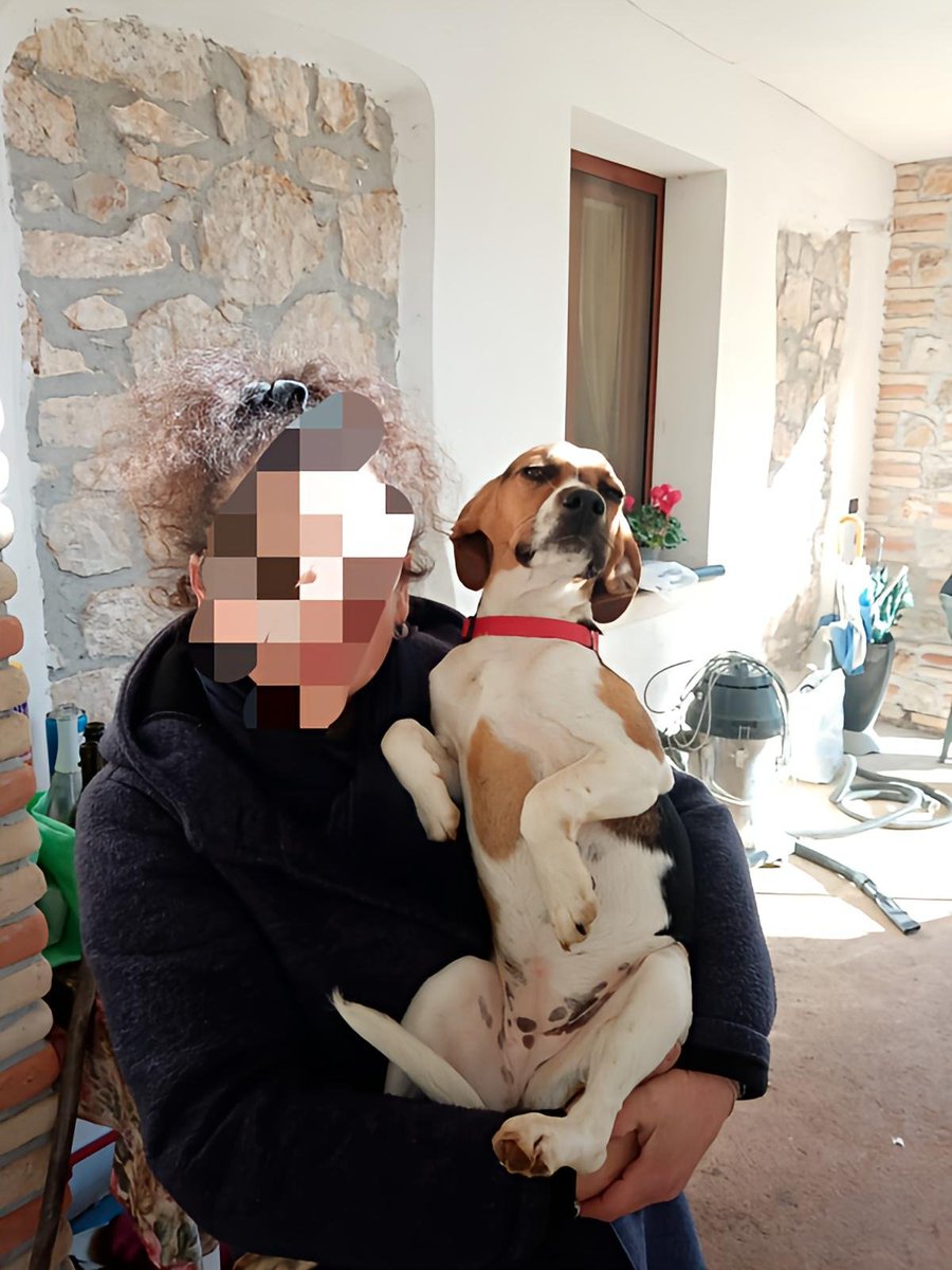 Associazione Tana Libero Tutti tweet media