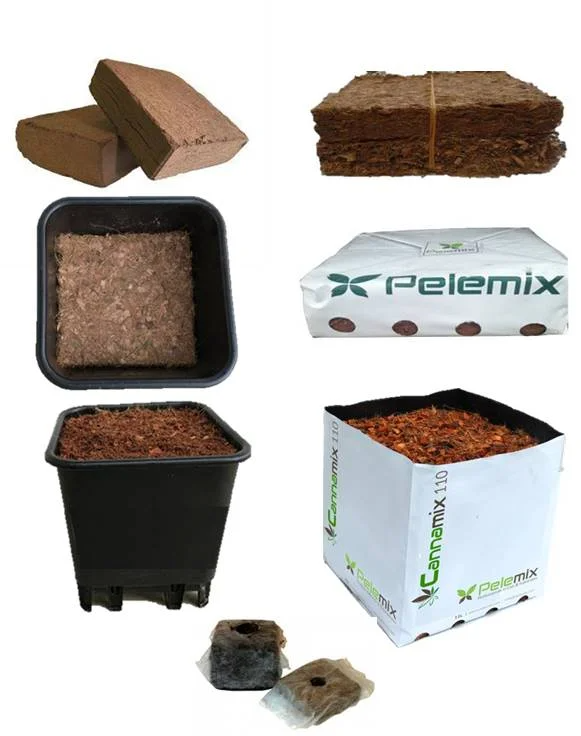 Raw material
The first stage in the production is to soak the Husk in water reservoir. During this stage the Husk is softened by the water. Pelemix does not use young Husks for this stage. Since this is the first stage for all Pelemix’s products.