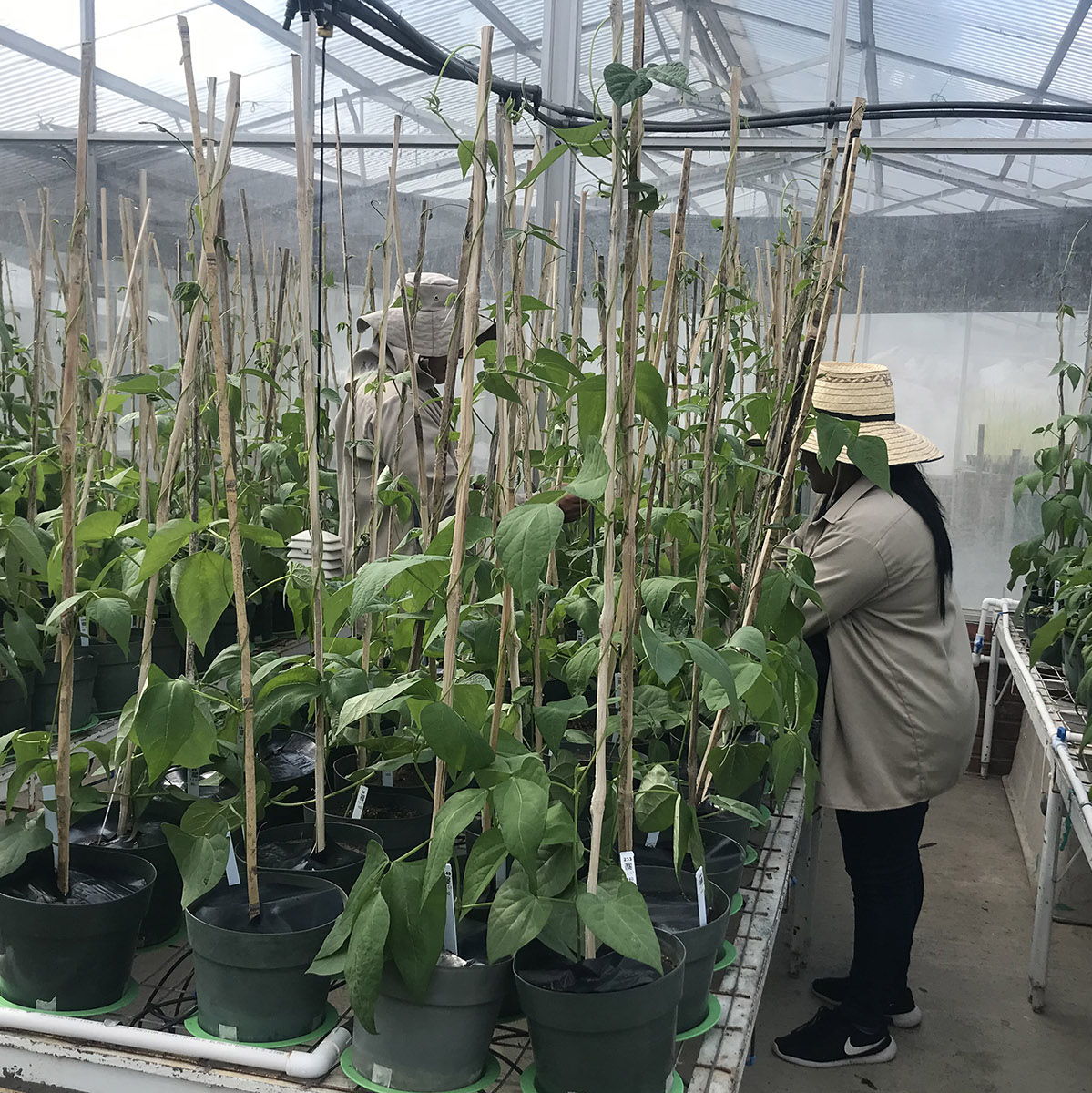 Earlham Institute tweet media