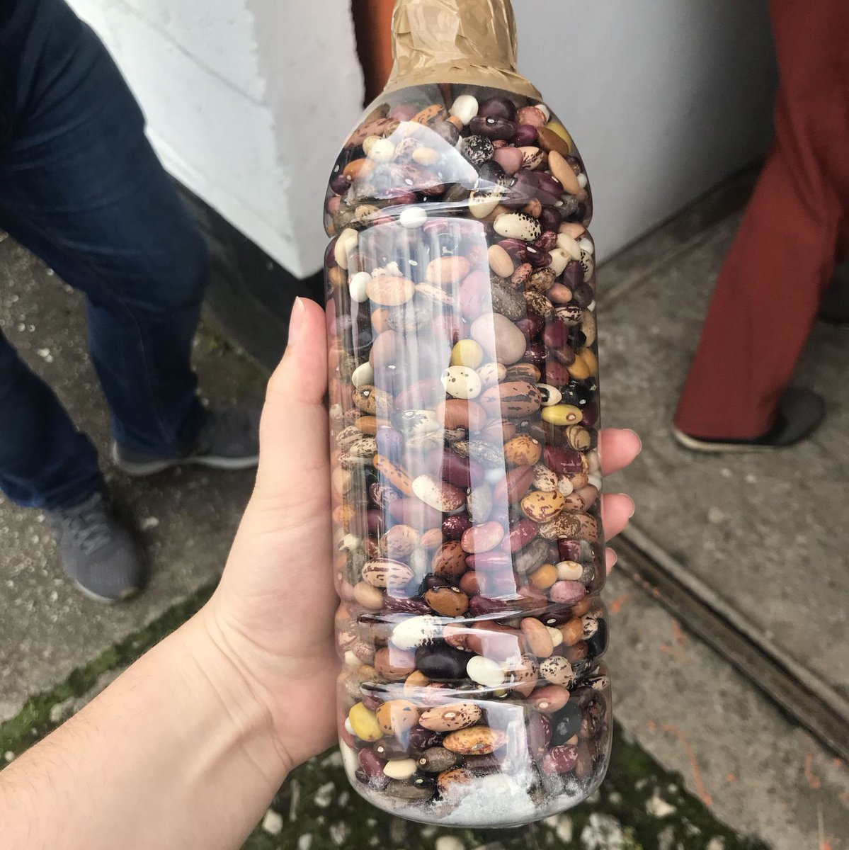 Earlham Institute tweet media