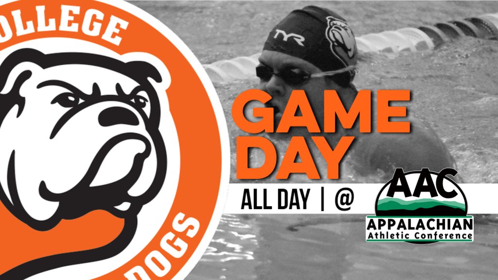 UnionBulldogs's tweet photo. 🏊♀️PLAYOFF TIME🏊♀️
#UnionSwimm heads to Tennessee for the conference championship meet
#RepThU
Union 🆚 AAC Championships
📍Kingsport, Tenn.
📅 Thursday-Sunday
📹 https://t.co/rjDXUjKCAA https://t.co/gJqSotgWH0