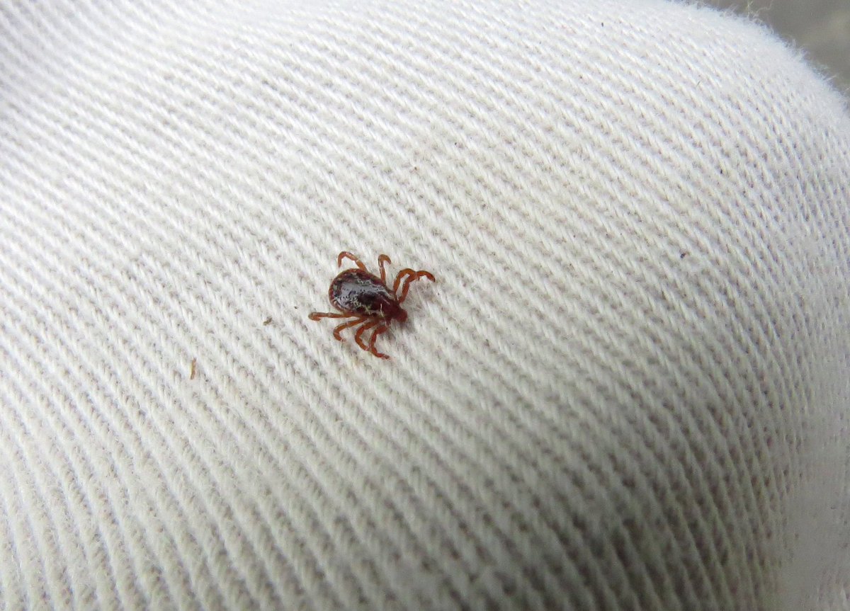 U.S. Fish and Wildlife Service tweet media