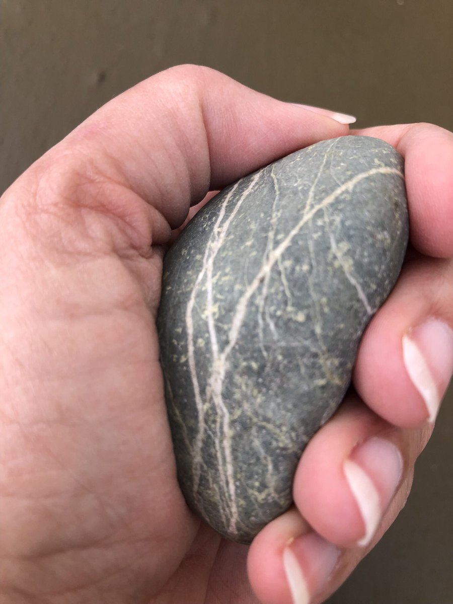 Today’s blog post is a meditation on #stones reneeharmon.com/2023/02/07/sti… #surfingthewavesofalzheimers #ENDALZ #alzauthors #alzheimerssupport #dementiasupport #caregiversupport #stillthestones #rocks