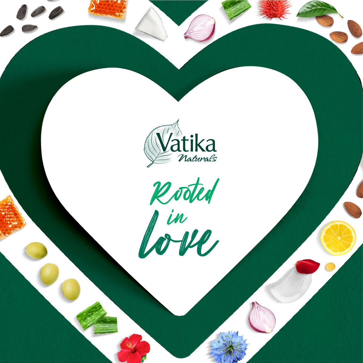This year, we are honoring our love-infused products that use natural ingredients to revitalize your hair. We have chosen green, the color of growth and rejuvenation, to symbolize the benefits of our ingredients! #VatikaUk #valentinesday #naturalproduct #naturalhair