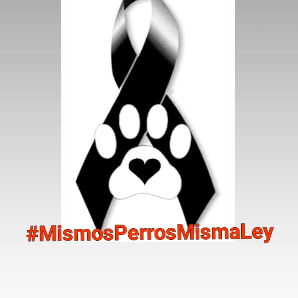 Mi más sentido pésame hoy a los perros de caza, de guarda, animales para la diversión y a todos los maltratados impunemente 
La aprobacion de la reforma del código penal es un retroceso difícil de asumir. Desde ya pedimos que se enmiende : prisión y multa.

#MismosPerrosMismaLey