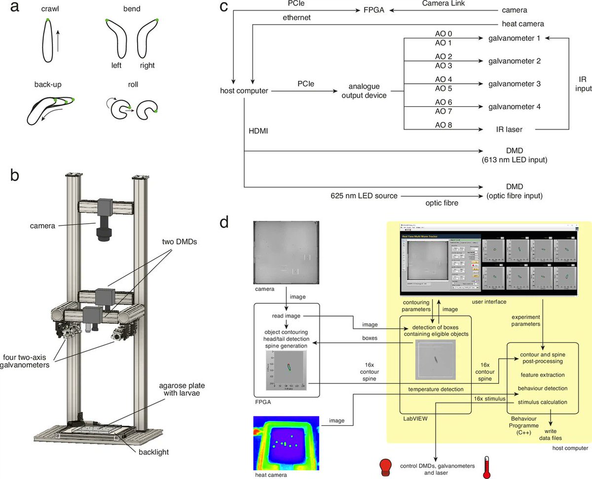 Zlatic Lab tweet media