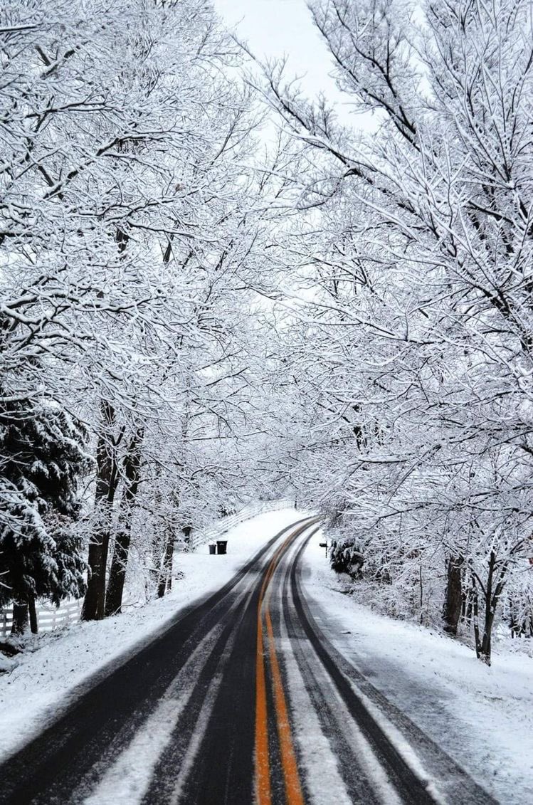 소비에트 곰 on Twitter "RT helena_mar19 Winter Road"