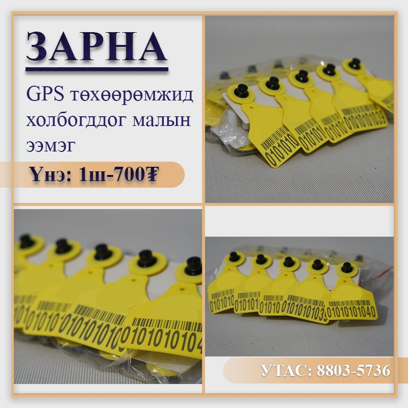 Малын ээмэг хямд зарна. Надаас хямд аваад цаас нь 2,363.64-р нэг сайдад зараарай. Алдаж болохгүй алтан боломж.