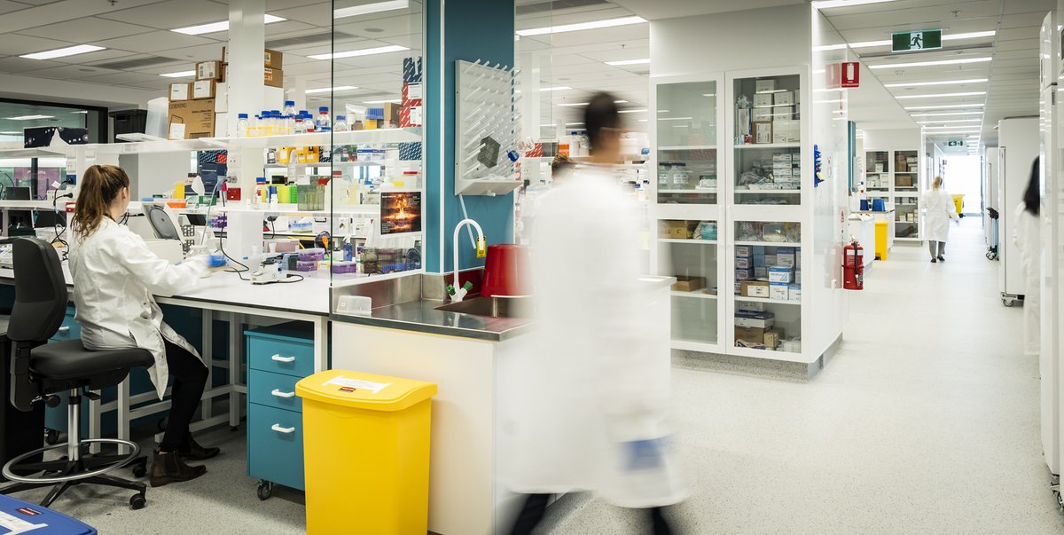 TheKids_AU's tweet image. .@telethonkids is excited to see the launch of the 10yr WA Health &amp;amp; Medical Research Strategy, announced today by Minister Stephen Dawson, on how to grow our local sector: bit.ly/3HQ8iFy

We look forward to working with the @WAGovernment to bring this strategy to life.