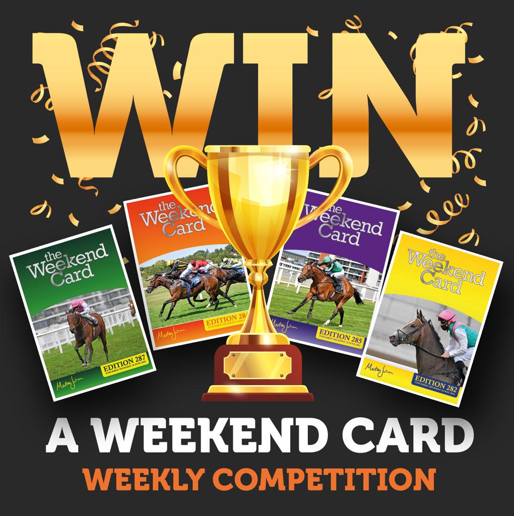 MJ Publications tweet media