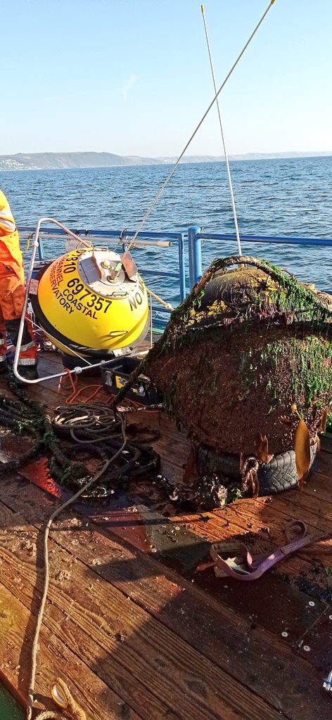 Isabel Kelly tweet media