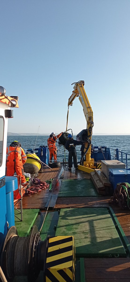 Isabel Kelly tweet media