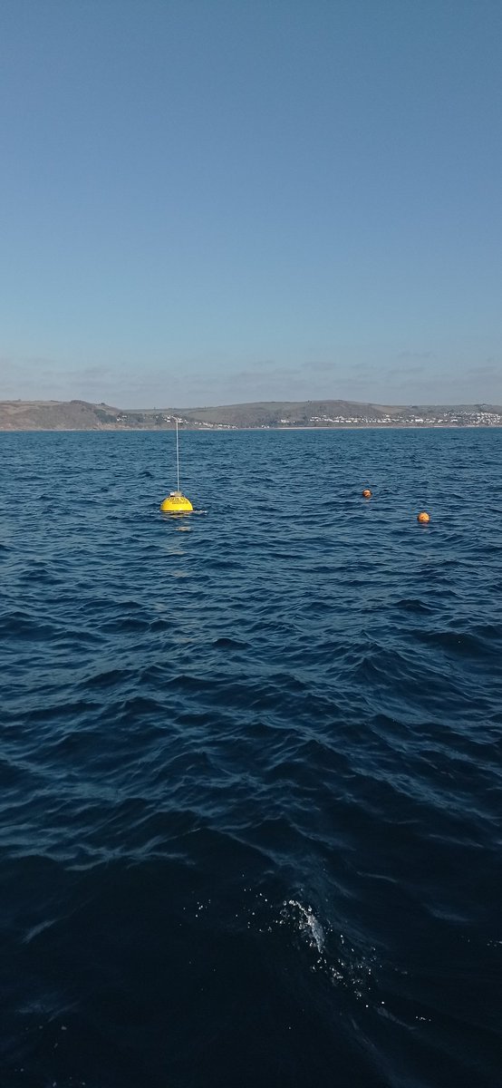 Isabel Kelly tweet media