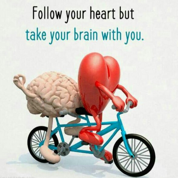 InnocentZimba's tweet photo. In that order https://t.co/1nKQ7myjVO