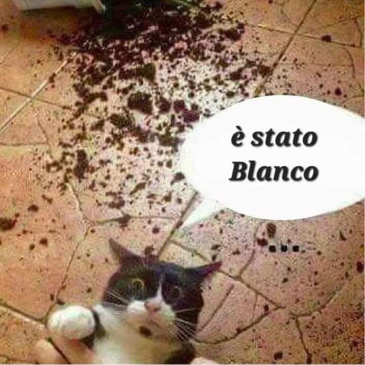 CarloC (@carletticarlo) on Twitter photo 