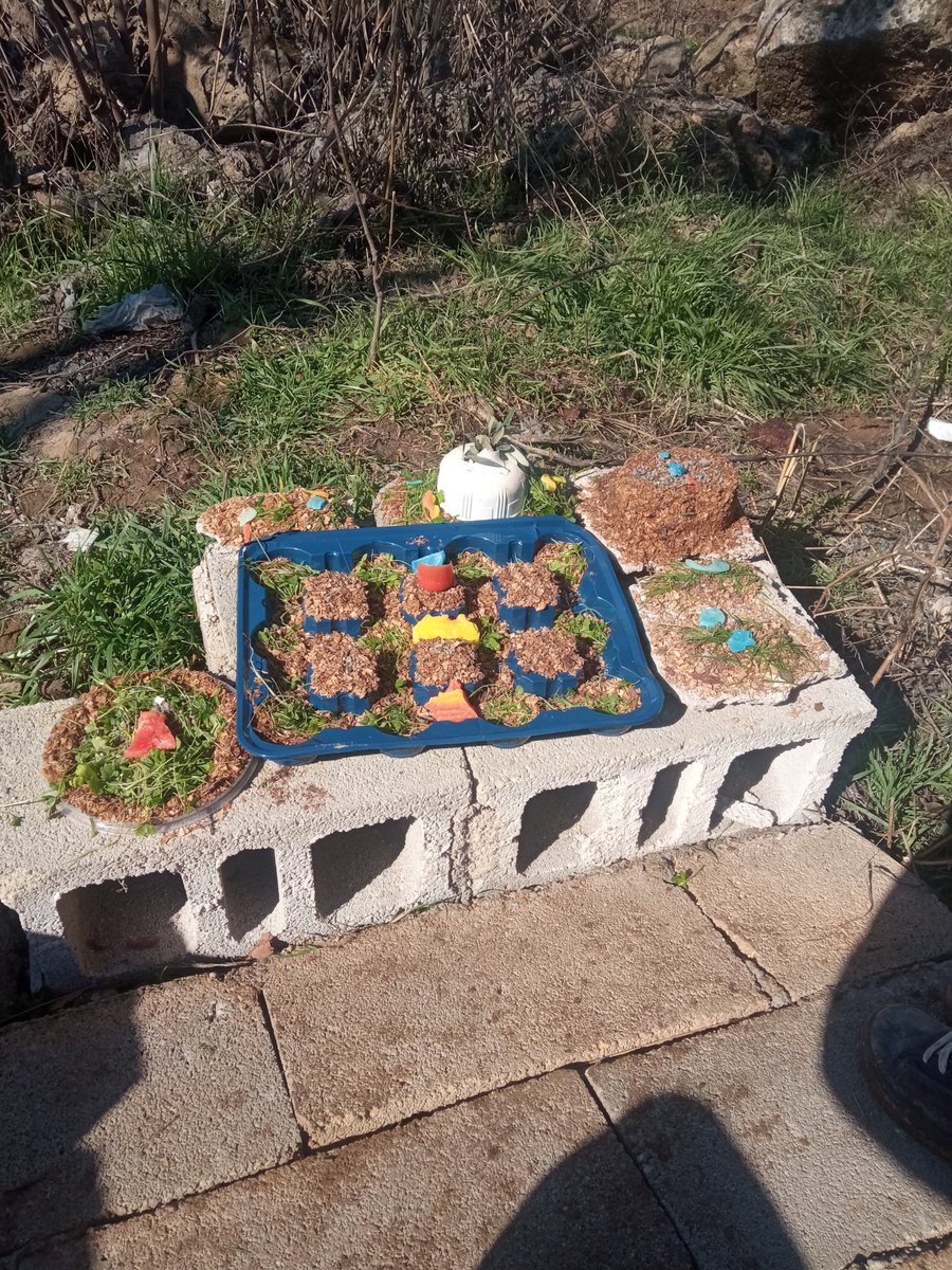 Köyde çocuklar geceleri birbinine korkuyla birbirine sarılıp ağlıyor gündüz her şeyden uzak oyunlarını oynuyorlar. Söylemeye çekiniyorum ama oyuncak da gönderebilir misiniz 😭