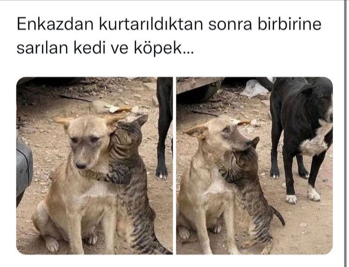 ***
Kurban Olurum Size Sizi Yaradan Allah'a...