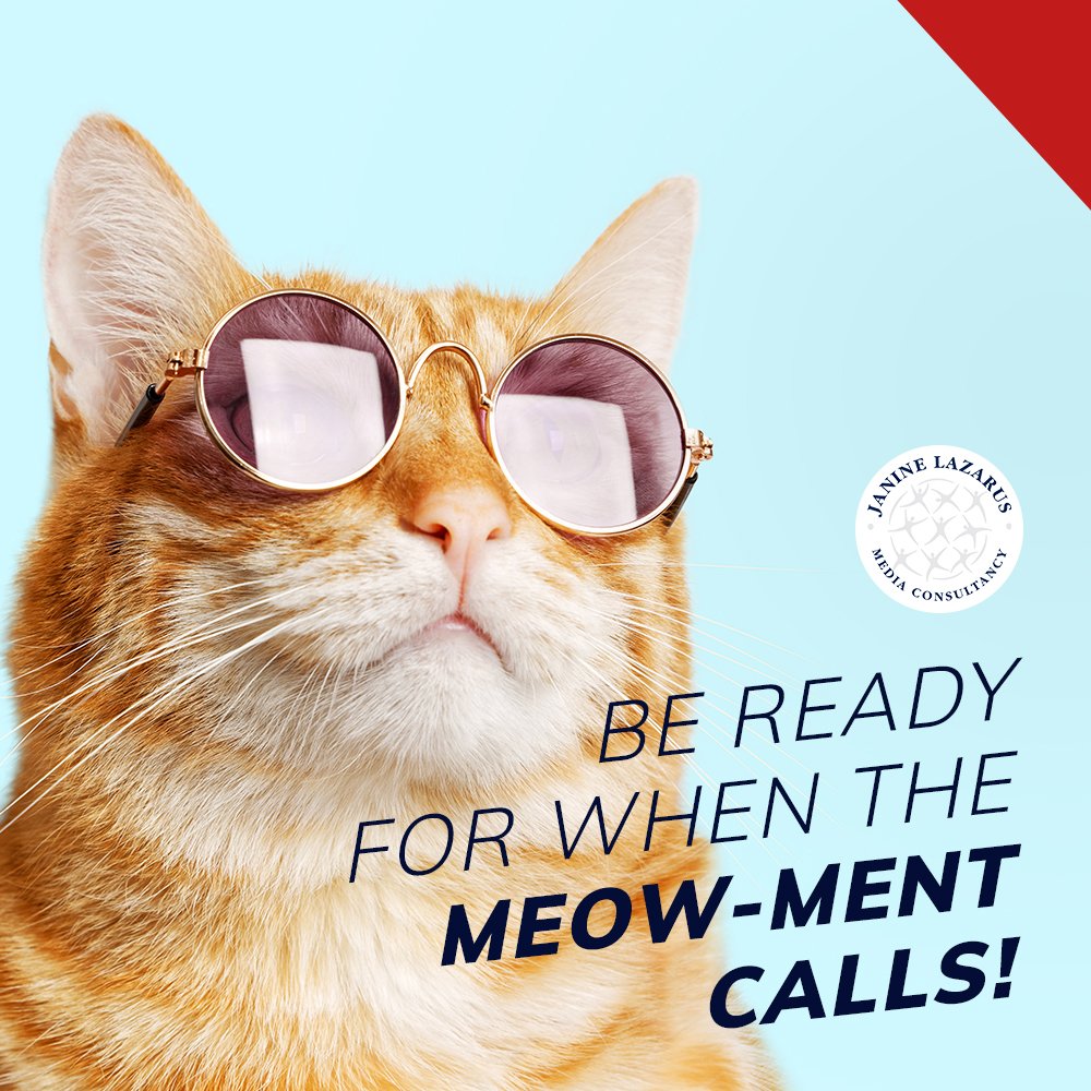 JanineLazarus's tweet image. Think you’ve mastered the art of an interview? Think again. A simple interview can turn into a cat-astrophe within a few seconds. Fortunately for you, JLMC offers interview skills training that will have you feline ready and prepared for the ‘hot seat’! 
#JLMC #InterviewTraining