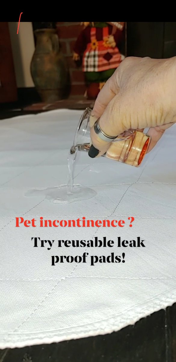 personallypaws's tweet photo. Washable weak proof pads protect floors in furniture from unavoidable pet mishaps
https://t.co/OvLY1PRgAs
#goodtogo #seniorpets #puppylove https://t.co/4sHyhGdn7j