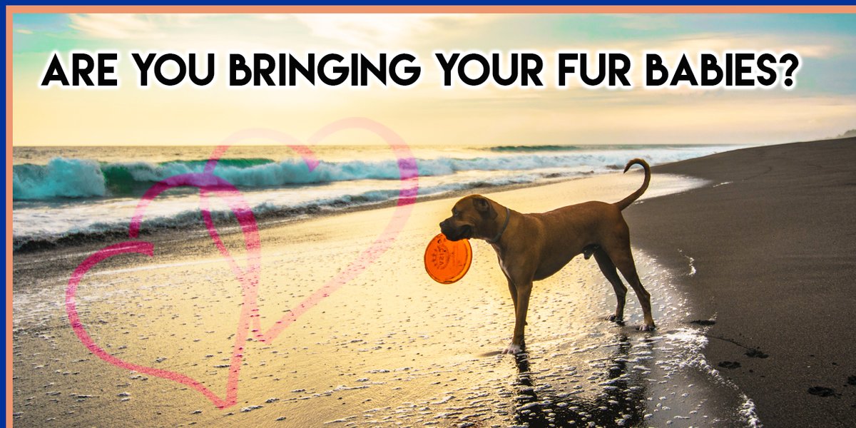 Dumela Margate tweet media