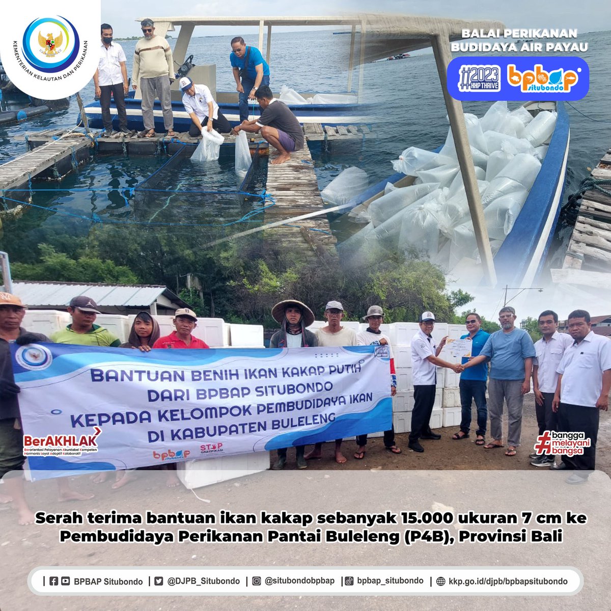DJPB_SITUBONDO's tweet photo. Tim Teknis BPBAPS serahkan Bantuan Benih Ikan Kakap Putih sebanyak 15.000 ekor kepada Pembudidaya Perikanan Pantai Buleleng (P4B), di Kab. Buleleng - Bali.

#KKPThrive @kkpgoid @BudidayaKKP @HaeruTb @HandoyoBoyun https://t.co/qThO8wwbi2