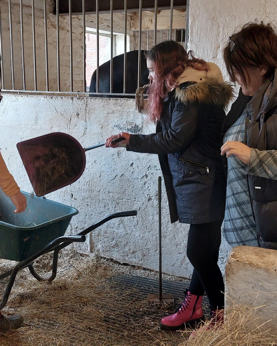 DcStudies's tweet photo. It’s not all about grooming and spending time with the horses at Partners in Equine! Tash and Thomas worked hard at mucking out the stable. 

#equinetherapy #horses #therapy #skills #holistic #benefits https://t.co/7Hq4dOQzoH