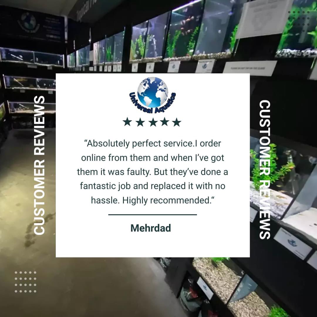 UAquaticsUK's tweet photo. 🙏 Thank you Mehrdad for our latest Google review. 🙏

#aquaticshopstaffordshire #aquaticshopstoke #aquaticshopuk #aquaticshop #coldwaterfishtank #coldwaterfish #tropicalfishtank #aquariumhobby #universalaquatics #stokeontrent #freshwateraquarium #freshwaterfishing #freshwater https://t.co/FlR4EbpR8C