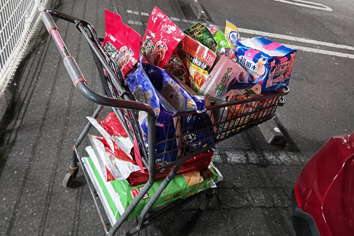 Na_KPYM's tweet photo. カンセキポイント10倍だ〰️‼️🤣
って定時でいそいで🚗💨帰って来た💪💪
いつものごとくカート🛒が限界を迎えてます😇 これでもぱーりぃ🐶と珈琲🐱の物乗ってないんですけど🙄
チンチラ🐿くんがキュルン🥺✨でかわいくてずっとながめていたらホタルノヒカリ🎶流れちゃったので退散😂💦
給料ぶっとぶ💸👋 https://t.co/POnJYKgfA3