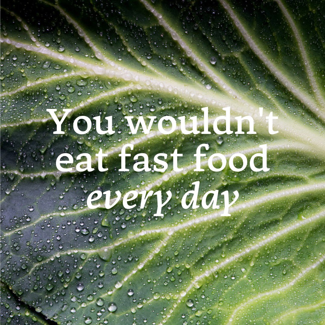 Scotsmanwithno's tweet photo. We’re pretty sure you wouldn’t dream of eating fast food every day. So why should your cat of dog? 
A biologically appropriate raw diet is the doggy equivalent to a superfood salad for your dog - it’s perfectly balanced with the nutrients they need to keep their guts healthy https://t.co/CTuyhy4gJD