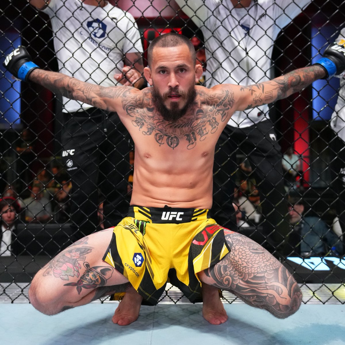 ufc's tweet photo. Bantamweight heat 𝙄𝙉𝘾𝙊𝙈𝙄𝙉𝙂 ☄️ 

The #UFCSanAntonio social pre-sale happens NOW 🎟 https://t.co/zxiRh7bkDp

[ Sat. Mar 25 | @ATTCenter | Use Code: UFCSOCIAL ] https://t.co/QuangxTbA9