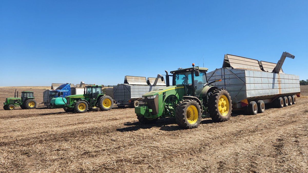 Russell Zwar tweet media