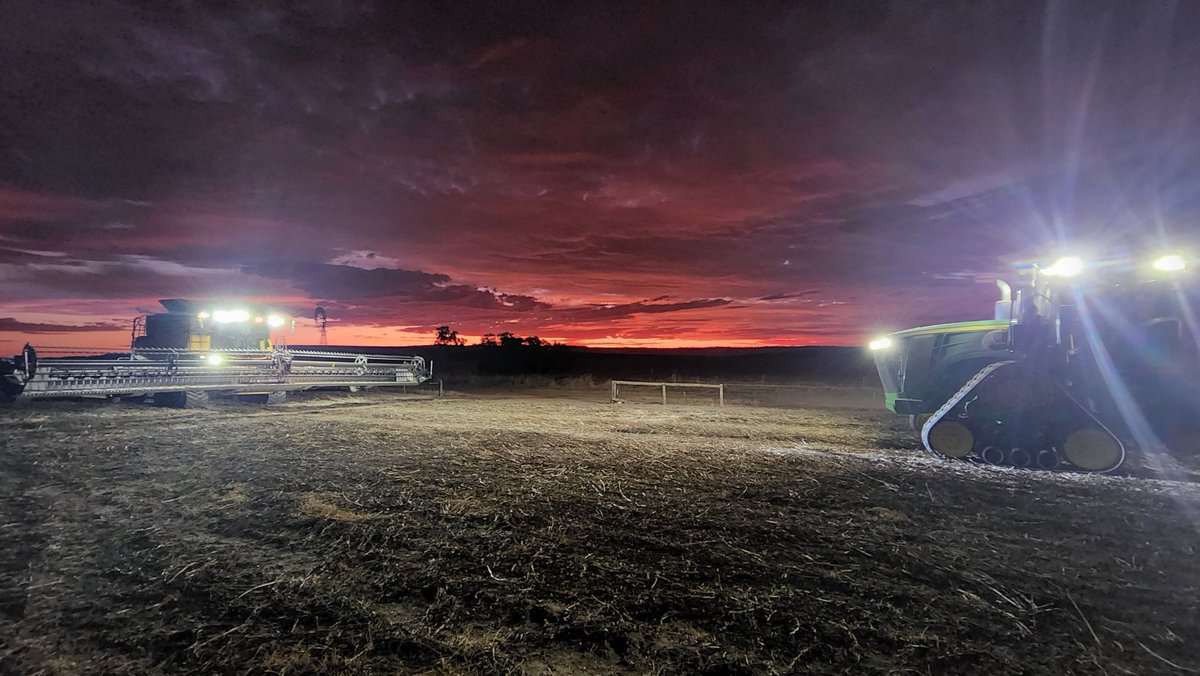 Russell Zwar tweet media