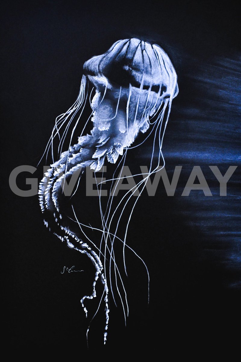 It’s that time of year where we’re all just plodding along waiting for Spring, so I thought I’d do a little A5 jelly fish print GIVEAWAY! 

You know the score; like, RT, tag an animal-lover! 3 winners will be picked next week.