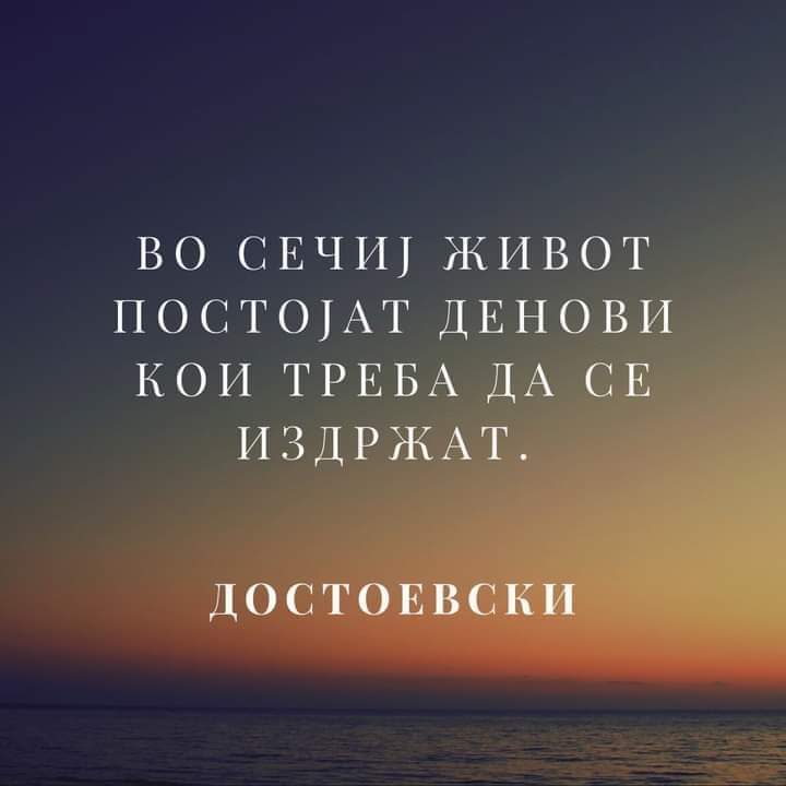 Македонска поезија tweet media