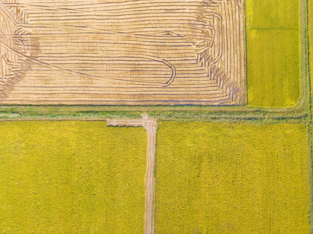 Jinan_ICC's tweet image. In the face of the complex global grain supply and demand situation, Jinan took early action and multiple measures simultaneously, and actively carried out #springplowing and sowing preparation with an estimated planting area of 1.2 million mu.
#JinanDevelopment #JinanChina