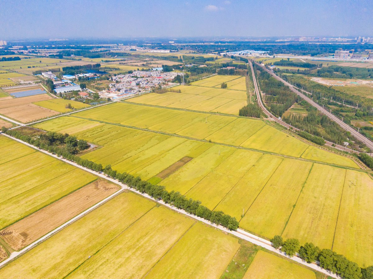 Jinan_ICC's tweet image. In the face of the complex global grain supply and demand situation, Jinan took early action and multiple measures simultaneously, and actively carried out #springplowing and sowing preparation with an estimated planting area of 1.2 million mu.
#JinanDevelopment #JinanChina