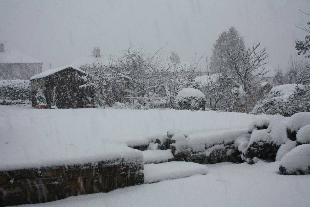 'I realize now that I've failed, and it only surprises me that I didn't foresee that I was going to fail. What was there in me to suggest I might triumph? I had neither the conqueror's blind force nor the madman's sure vision. I was lucid and sad, like a cold day.' ~ Pessoa