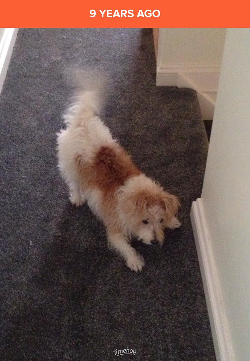 StValDay74's tweet photo. Love a ⁦@timehop⁩ memory Ellie ❤️ drying herself after a bath

🌈 Apr 2020 (17yrs old) https://t.co/J2xMJAyQ6Y