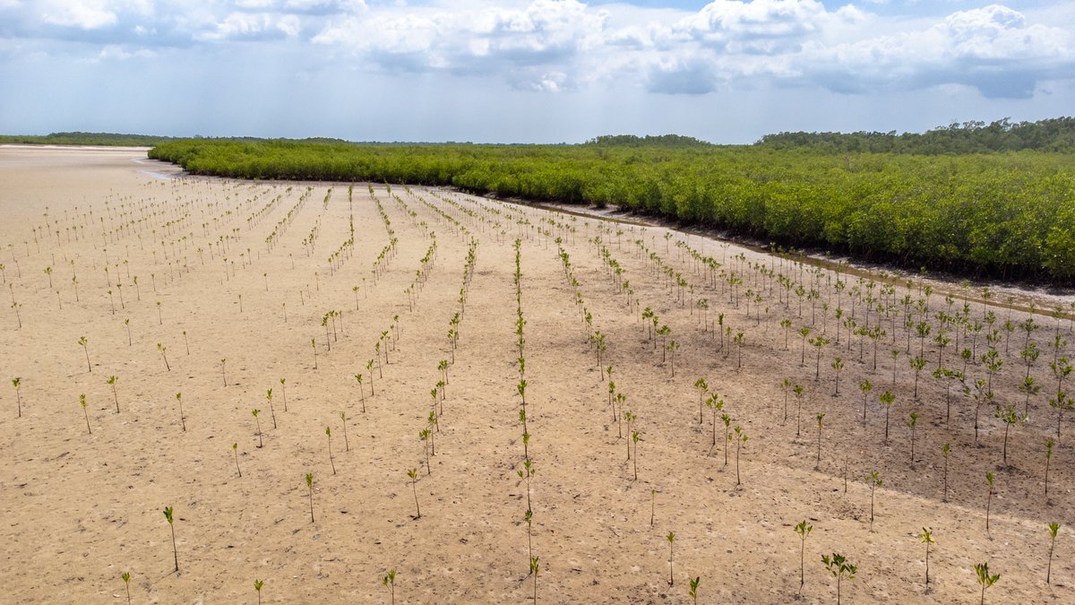 On ne va pas se mentir : la sécurité alimentaire mondiale ne tient qu'à un fil et le #ChangementClimatique ne fera qu'empirer les choses.

Nous ne pourrons pas atteindre l'objectif #FaimZéro sans nous attaquer à la crise climatique.