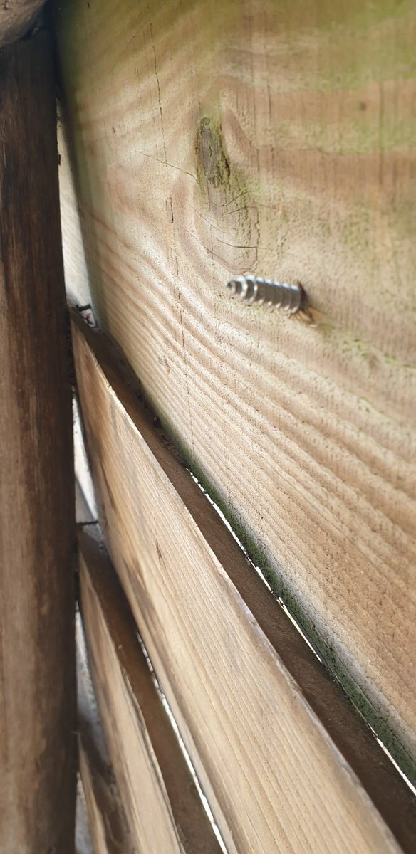 AFJProject's tweet image. In oktober al gemeldven daarna nog 2x van de kindonvriendelijke situatie bij de Cheetah's. Ondanks dat ze een nieuw verblijf krijgen os dit toegankelijk en dus schandalig dat hier niks aan word gedaan! Geen goed woord over hiervoor @Beekse_Bergen #safariparkbeeksebergen #wtf