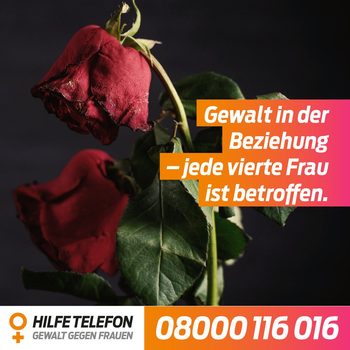 Am 14.2 ist Valentinstag. Für viele Frauen ist dies jedoch kein Grund zum Feiern: Jede vierte Frau erlebt körperliche oder sexualisierte Gewalt in der Partnerschaft. Frauen mit Behinderung sind noch stärker betroffen. Hier finden Betroffene Unterstützung: bit.ly/3jYACNG