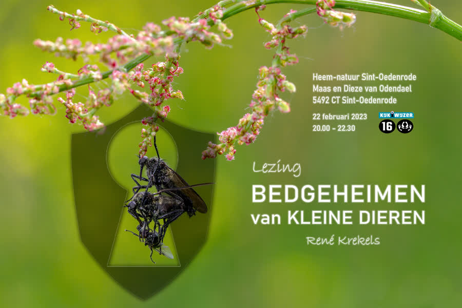 Bijzondere lezing over Bedgeheimen van kleine dieren omroepmeierij.nl/omroepmeierij/…