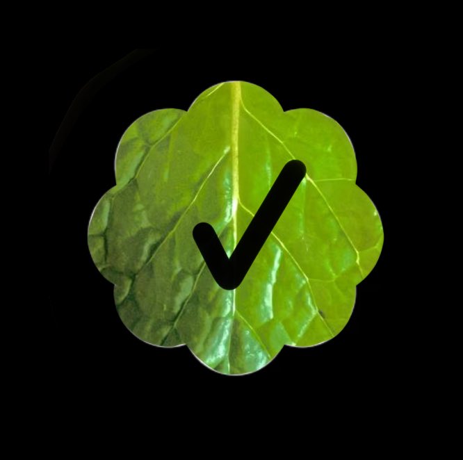 Kryptina22's tweet photo. Checks &amp; The Free Mint ➡️ LFG ❤️ 
@nullinger @jackbutcher 
#checks https://t.co/HSfQT28w4i