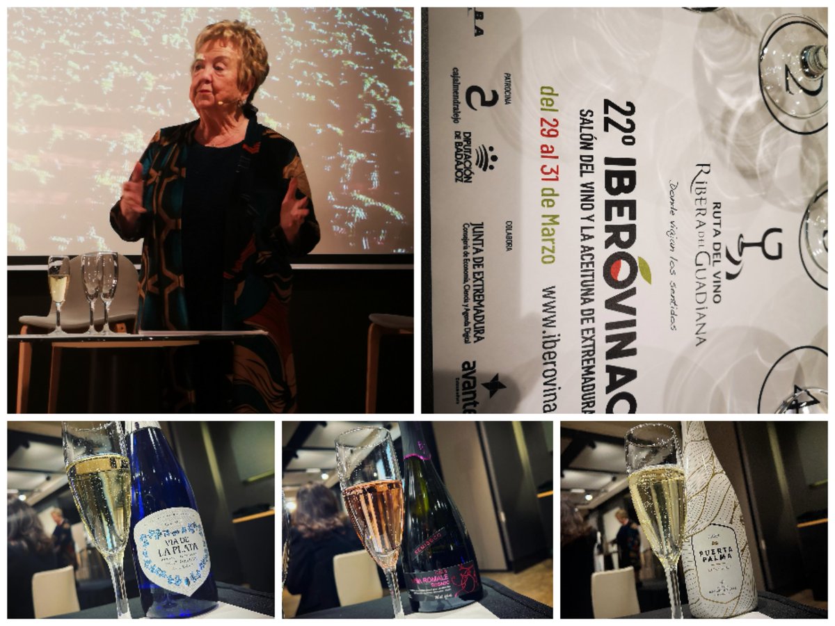 El centro de experiencias del vino, asistimos a la presentación en exclusiva del salón  Iberovinac . La maestra de ceremonias corrió a cargo de Isabel Mijares ,una gran embajadora de su tierra y gran enóloga. Nos presento 3 cavas representativos. Armonizados con buen jamón .