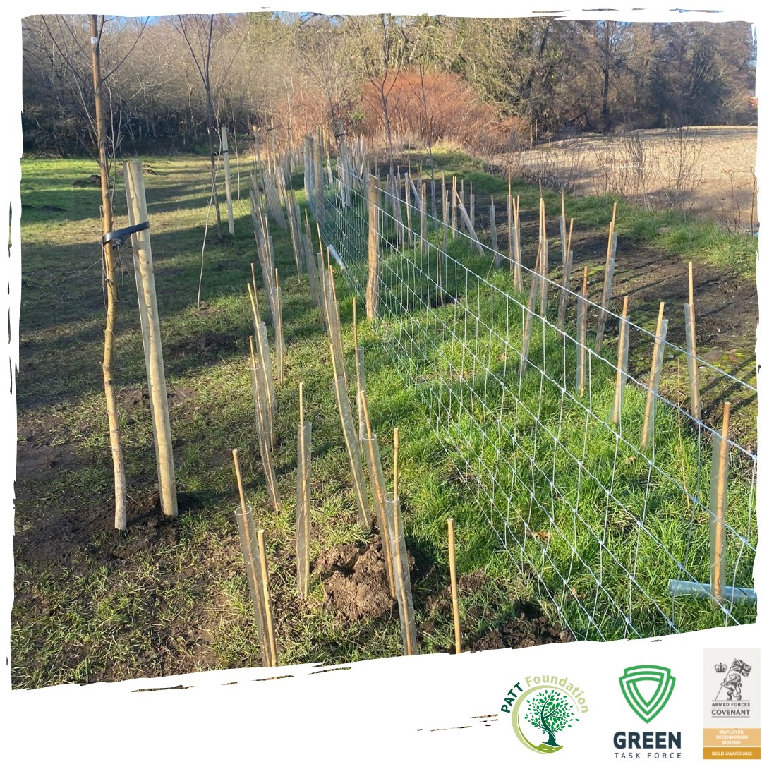PATT_Foundation's tweet photo. The @GreenTaskForce1 (Wales) team have been busy lately.
Here are some fantastic pictures of a Habitat creation project the team undertook.
#GreenTaskForce #PattFoundation #conservation #treeplanting #employment #veteranshelpingveterans #veteranemployment #woodlandmanagment https://t.co/PFZMv4uHi0