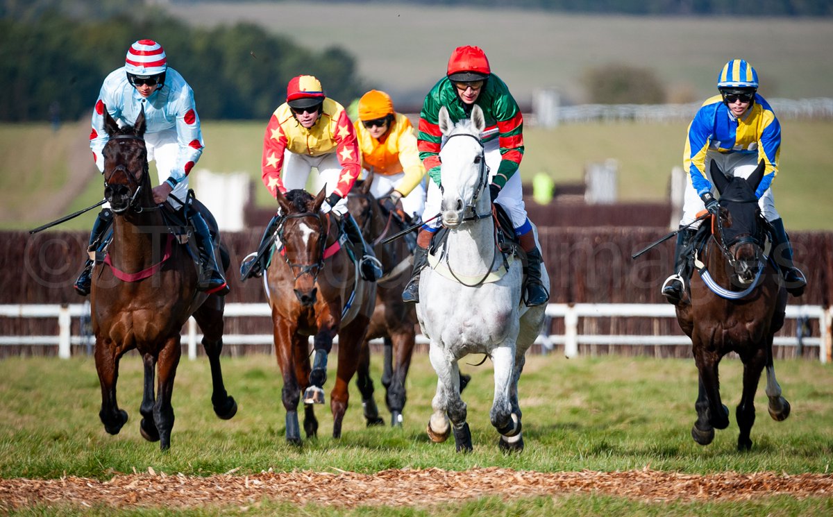 JTWEquineImag's tweet photo. Following that, are the official photographs from the 2023 #CombinedServices Point-to-point @LarkhillRacing held last Sunday.
Thank you once again for asking us to be in attendance. It is gratefully appreciated.
https://t.co/2iQ18Kbbf4 https://t.co/zBmNDIRDKO
