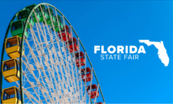 1055TheDove's tweet photo. Plan the route around Tampa carefully today - the president will be in town, and it's opening day for the Florida State Fair. But more importantly, who did Nicholas the Dolphin choose for his Super Bowl pick at the @CMAquarium?
https://t.co/Ikja1ZumVG
#DoveDailyUpdate #traffic https://t.co/EhmjNyDzwY