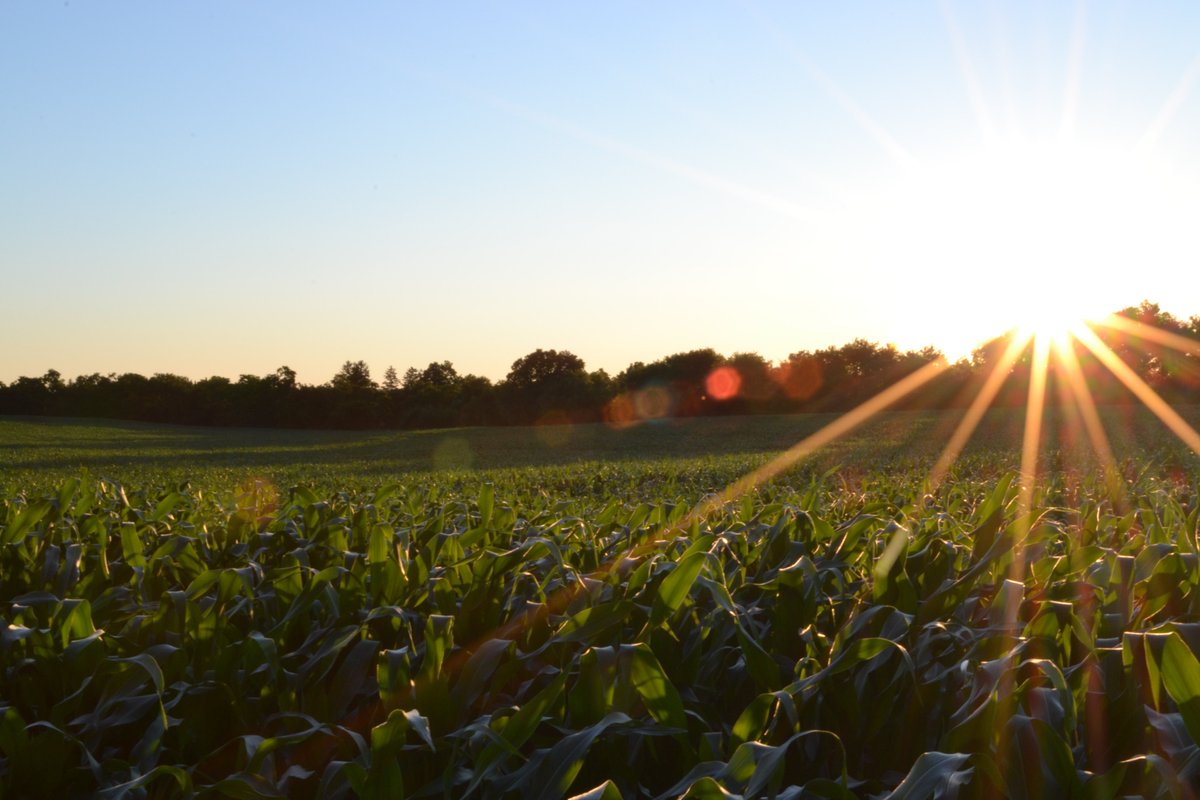 ceusummer's tweet photo. #ceusummer course on Repowering Leadership in European Energy and Food 
Apply by February 14! 
Course details: https://t.co/INyJeqtyvT
Study with @MikeEnergy @BalmacedaEnergy  
@timgbenton @londonvinjamuri @stojilovska
&amp; more. Scholarships available: @opensocietyuniv #OpenSociety https://t.co/5vPqWUrYcQ