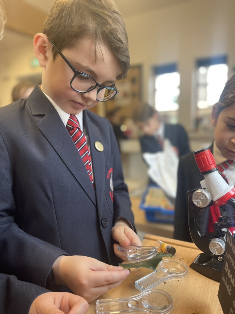 StPaulsSwanley's tweet photo. Exploring the different leaves and identifying what habitat they might have come from! https://t.co/1V7Ar3Ge4n